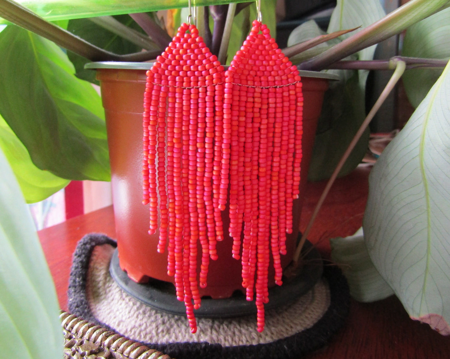 Coral