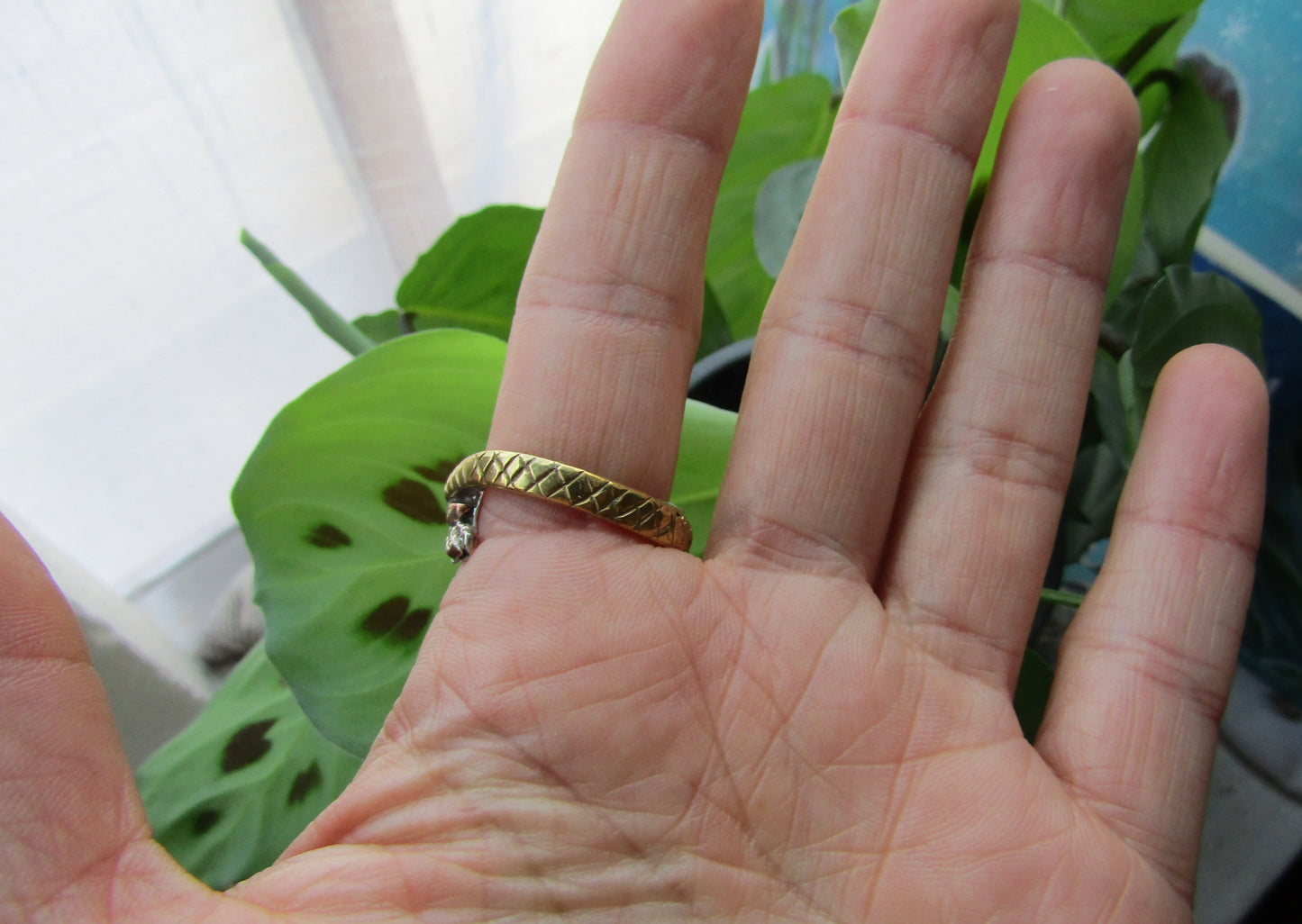 Anillo Shibui Serpiente