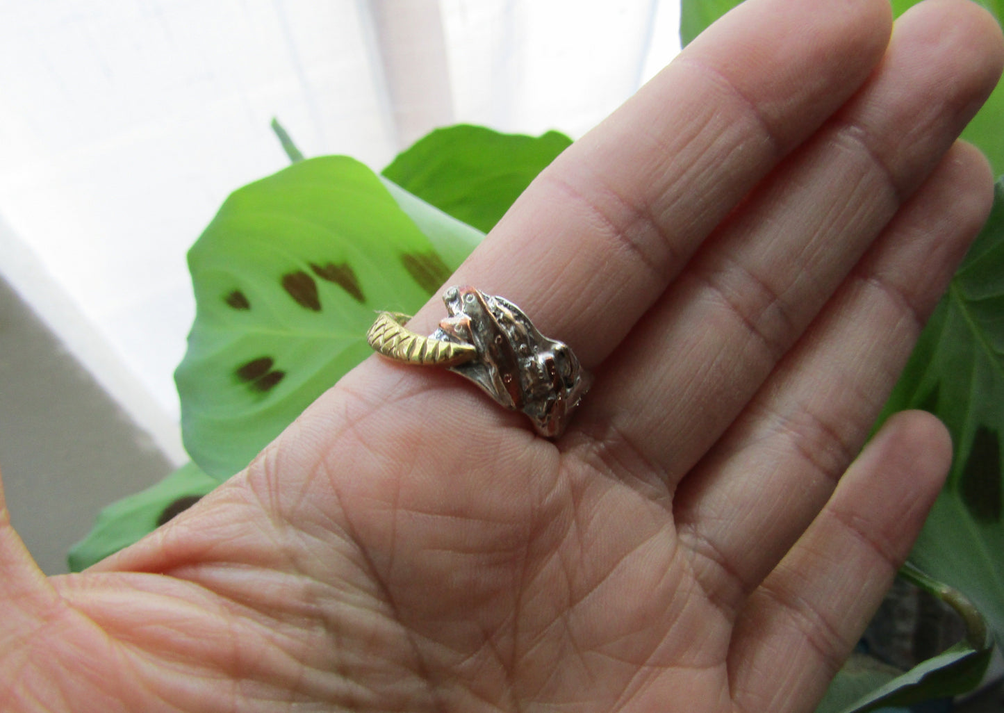 Anillo Shibui Serpiente