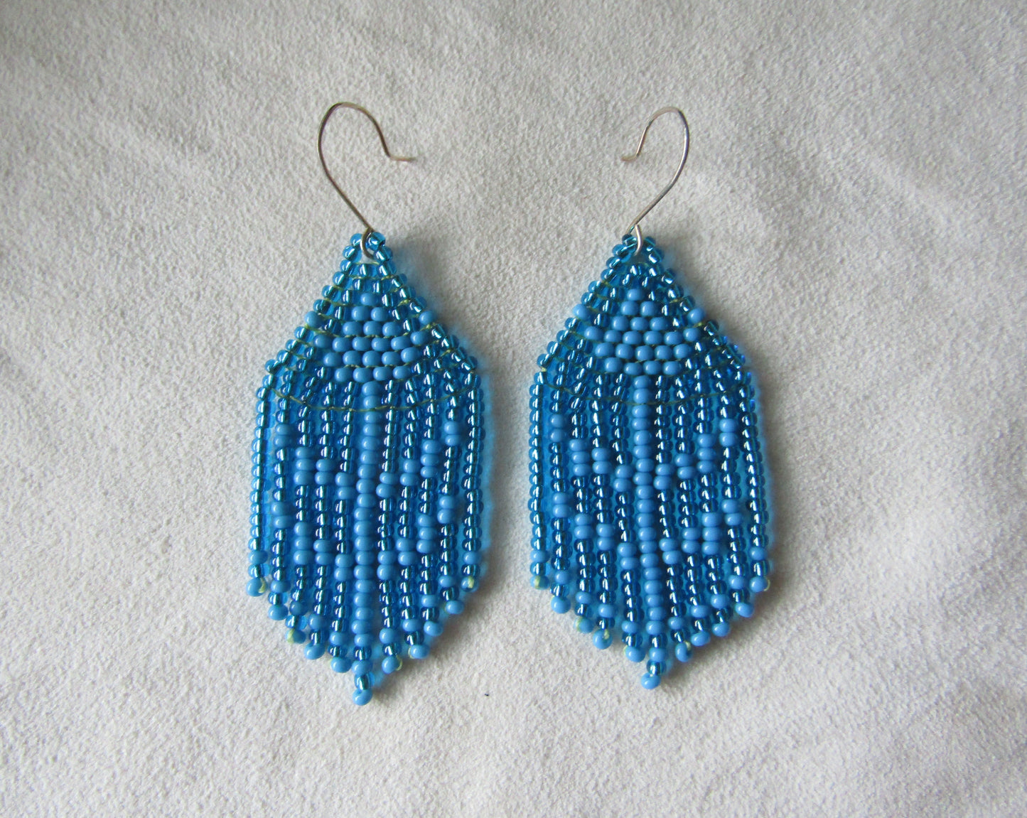 Tulipan Azul