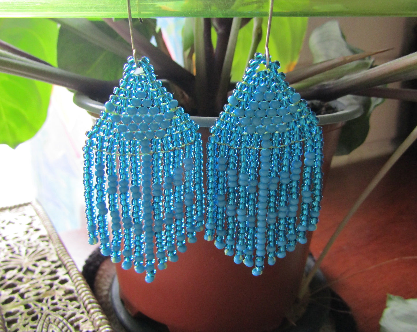 Tulipan Azul